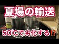 【検証】次亜塩素酸水溶液を高温保管すると、どれほど劣化するのか実験してみた【歯科医師 吉岡秀樹】