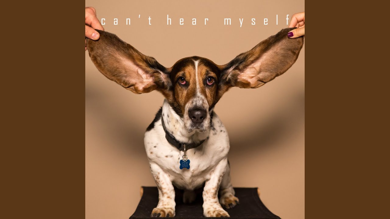 Can't Hear Myself YouTube Music