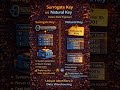 Surrogate Key vs Natural Key Data Warehouse.