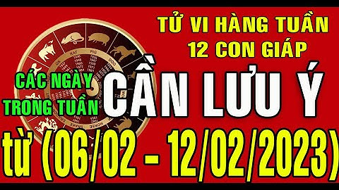 Tử vi Tuần mới (6 - 12/02/2023) CÁC NGÀY CẦN LƯU Ý TRONG TUẦN cho 12 con giáp
