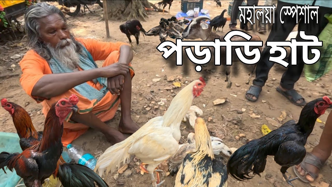 পড়াডির হাট বাজার | Poradhi market | মহালয়ার special vlog with 