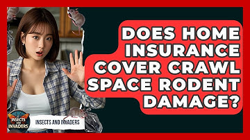 Does Home Insurance Cover Crawl Space Rodent Damage? - Insects and Invaders