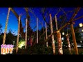 【DIY】竹のイルミネーションをつくる!【ナカヨシ】