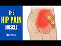 Release THIS Muscle to Fix Your Hip Pain