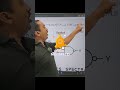 Why NAND Gate is Called Universal Gate? 🤯 | Digital Electronics #shorts