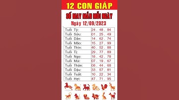 Con số may mắn ngày 12/09/2023 cho 12 con giáp #consotailoc #tailoc #xuhuong