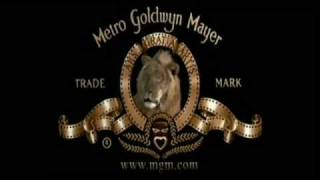 Mgm Lion