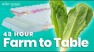 Famous Farm to Table in 48 Hours: Redefining What Fresh, Local Produce Means to You Profile