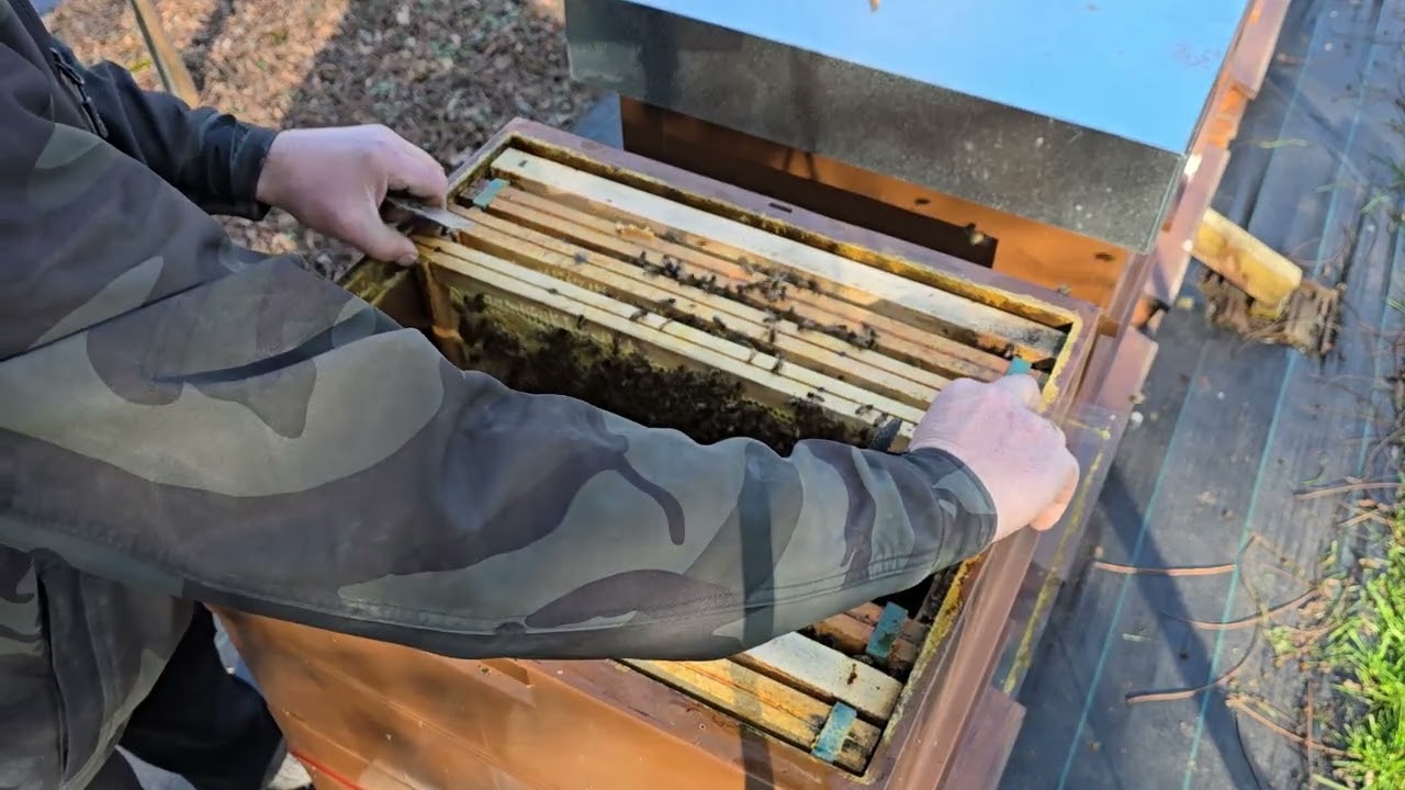 Sužavanje prostora sa leglom termo pregradnim ramovima