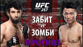 Забит 100% БЕЗ Шансов? UFC: Забит Магомедшарипов VS Корейский Зомби. Кто улетит в нокаут?