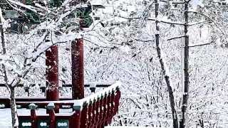 【癒しの音楽と風景】２月の風景 music video