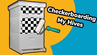 Checkerboarding All My Hives!