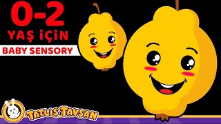 Bebekler İçin Duyusal Gelişim · Ayva · Sarı · Baby Sensory · Tatlış Tavşan