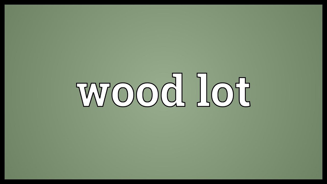 Lot definition