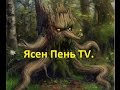 Вячеслав Котляров: «Интервью для Ясен Пень TV.»