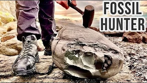 Fossil Hunter Cracks Open Huge Limestone Rock! Ichthyosaur Rostrum, Paddle, Ammonites| Fossil Hunter
