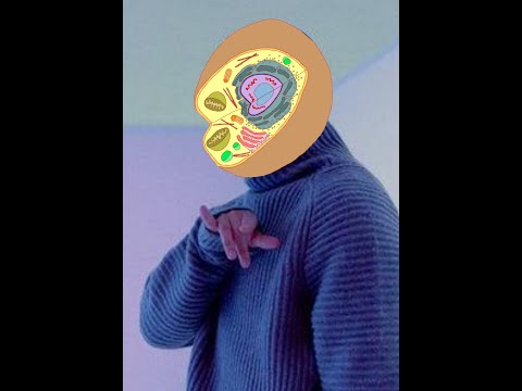 Si Drake fuese una célula-Hotline bling-Trabajos en pandemia