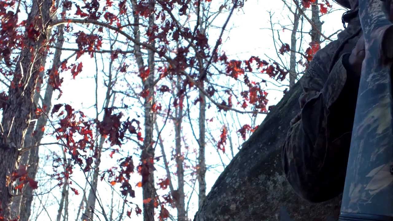camera iphone 8 plus apk Crow Hunting