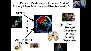 Fear and PTSD: Translation from Genomics to Circuits to Clinical Practice with Kerry Ressler