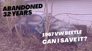 Abandoned 1967 Volkswagen Beetle
