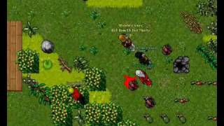 Bot Morto [Honera] By - Shashra