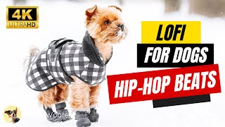 Lofi for Dogs: Relieve Anxiety with Hip-Hop Beats ? Witty Woofers