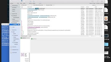 1 Git (Sourcetree) :  undo or redo commit [local]