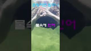 더운날 함께 떠나는 노지계곡 백패킹     업로드8/12 기대해주세요                          #덕풍 #노지계곡 #계곡백패킹 #폭포수 #강원도계곡