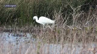 Rutland Water 30th March 2024