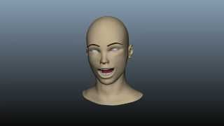 Advanced Facial Rig