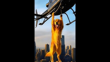 Golden Retriever Saves Paramedic From Helicopter Crash! #animals #animalrescue #dog