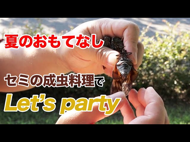 Summer Appetizers] Serve with adult cicada party food - YouTube