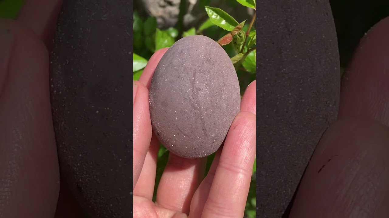 Яйца приготовлено вином  