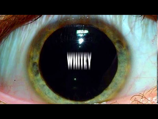 Watch WHITEY - THE EMPTY MAN (OFFICIAL AUDIO) on YouTube Watch WHITEY - THE EMPTY MAN (OFFICIAL AUDIO) on YouTube