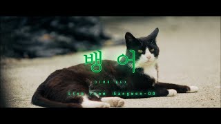 DIMO REX - BANGER #1 (Live with WeTheFriend)