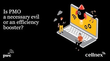 Webinar "PMO - necessary evil or efficiency booster?"