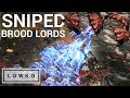 StarCraft 2: SNIPING BROOD LORDS! (Bo3)