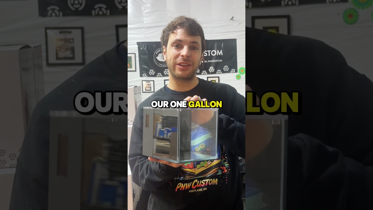 Back in Stock! Our 1 Gallon Small-In-One Desktop Aquarium