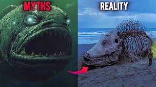 Myths vs Reality: The Terrifying Truth of Deep Sea Creatures 🌊 | Anglerfish, Viperfish &amp; Gulper Eel&quot;