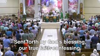 11:00AM Sunday Mass: 15th Sunday in Ordinary Time