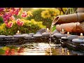 Beautiful Relaxing Music 🌿 Bamboo Water Sounds, Deep Sleep Music, Calm Anxiety &amp; Depression, Spa BGM