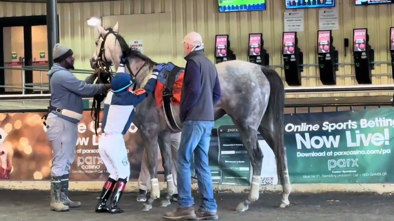 PA Bred Up the Kingdom & jockey Eliseo Ruiz for trainer/breeder Tim Shaw