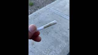 Review on cake & caviar black pearl pre rolled