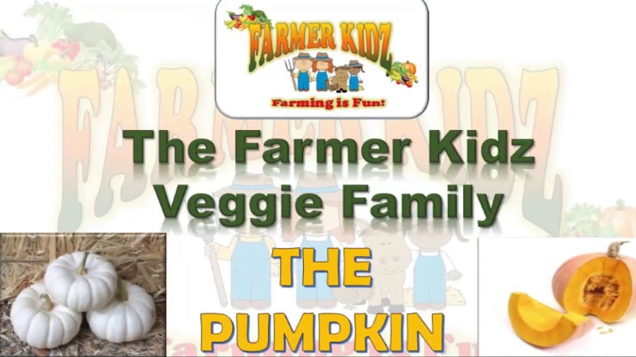 Day 4 - How to grow pumpkins - YouTube