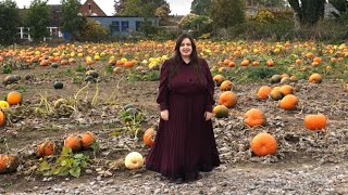 Pumpkin Patch Day | HANOWEEN DAY 13