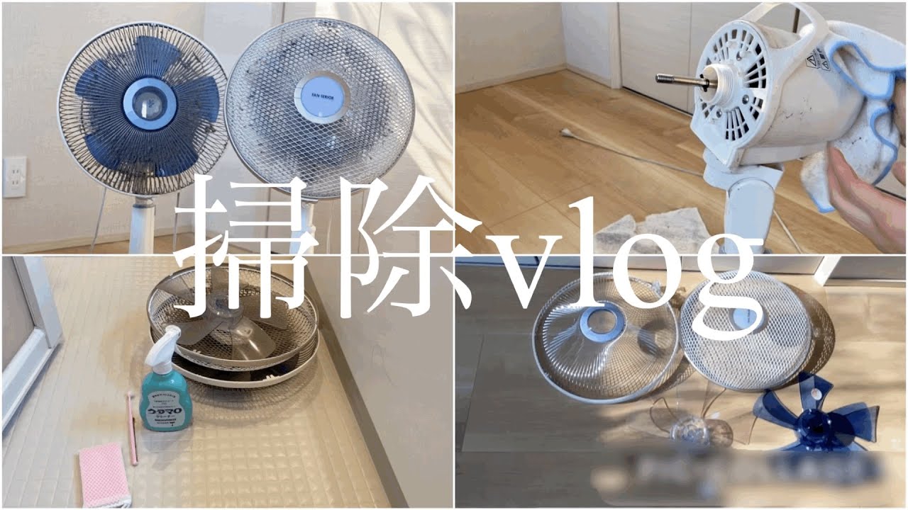 【3年ぶりの大掃除】扇風機⚠️お目汚しご注意⚠️