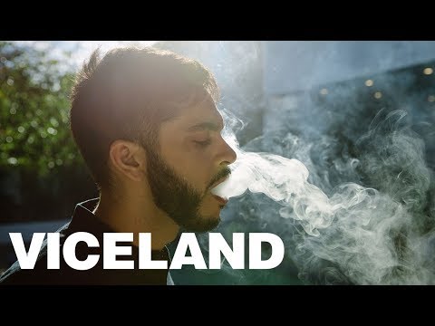 New Episodes of BONG APPÉTIT on VICELAND - New Episodes of BONG APPÉTIT on VICELAND