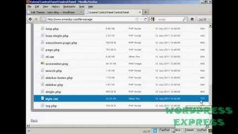 WordPress Tutorial 19: How to Edit WordPress Theme CSS Styles
