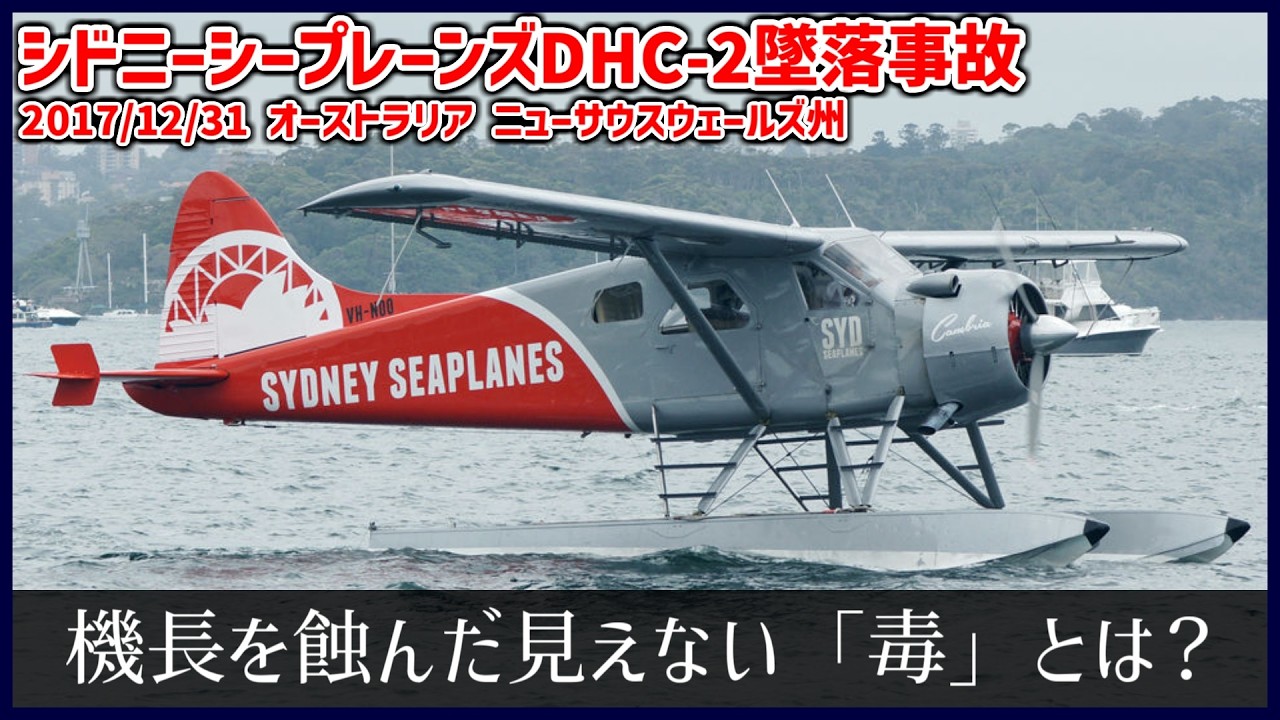 #215 ベテラン機長の操縦で離陸後、突如急降下して墜落│シドニーシープレーンズDHC-2