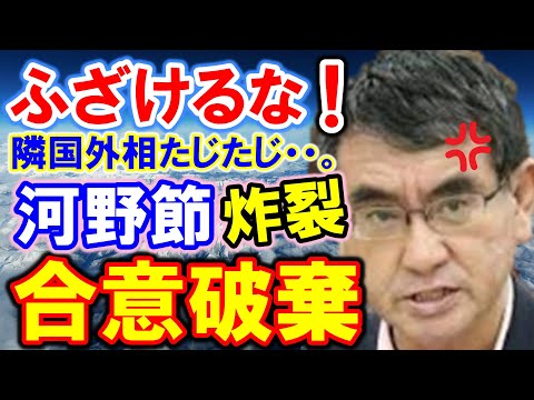 キャベツ 太郎 海外 の 反応